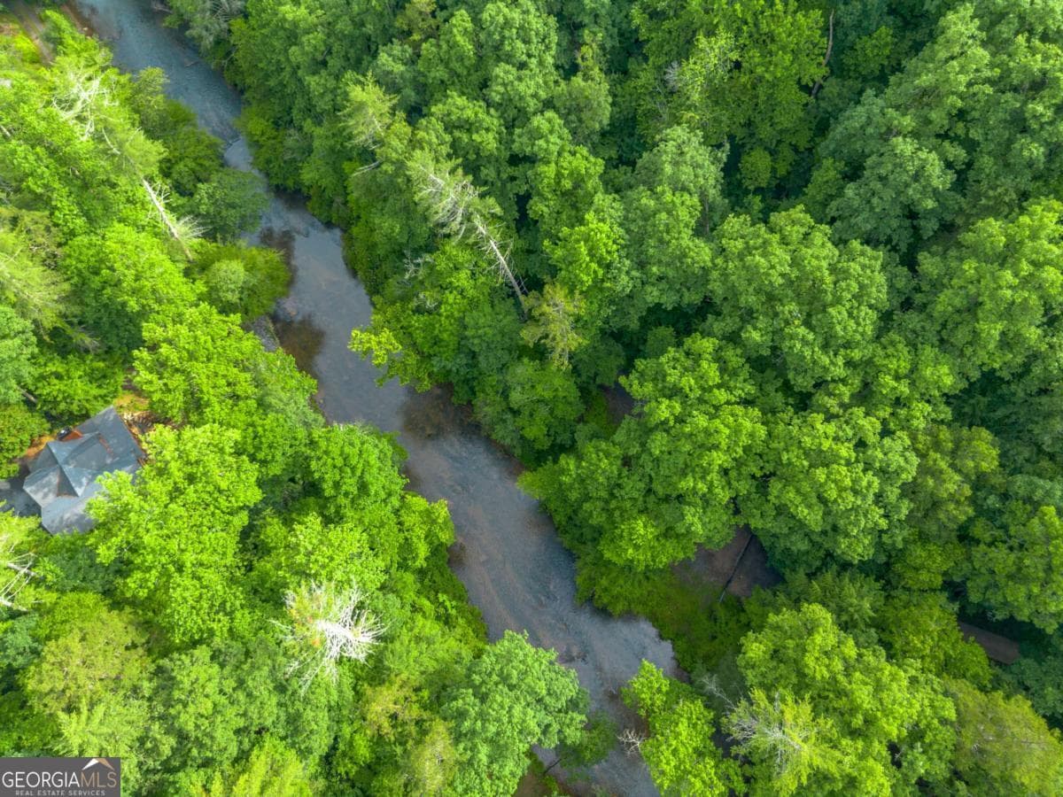 residential lot for sale at 0 Roaring Forks Lane, Ellijay, GA 30540 — photo 9
