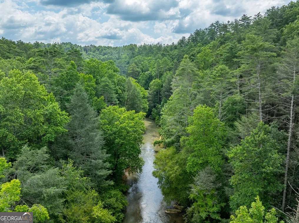 residential lot for sale at 0 Roaring Forks Lane, Ellijay, GA 30540 — photo 10