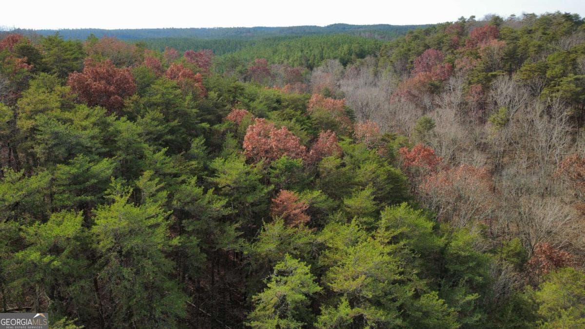 residential lot for sale at TRACT 30 Deerfield Estates, Fairmount, GA 30139 — photo 2