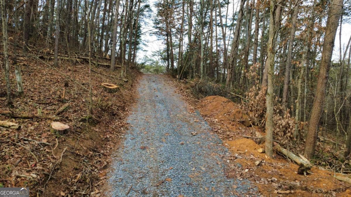 residential lot for sale at TRACT 30 Deerfield Estates, Fairmount, GA 30139 — photo 6