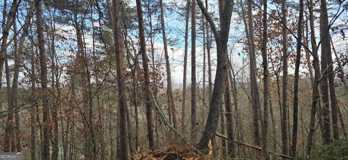 residential lot for sale at TRACT 30 Deerfield Estates, Fairmount, GA 30139 — photo 7