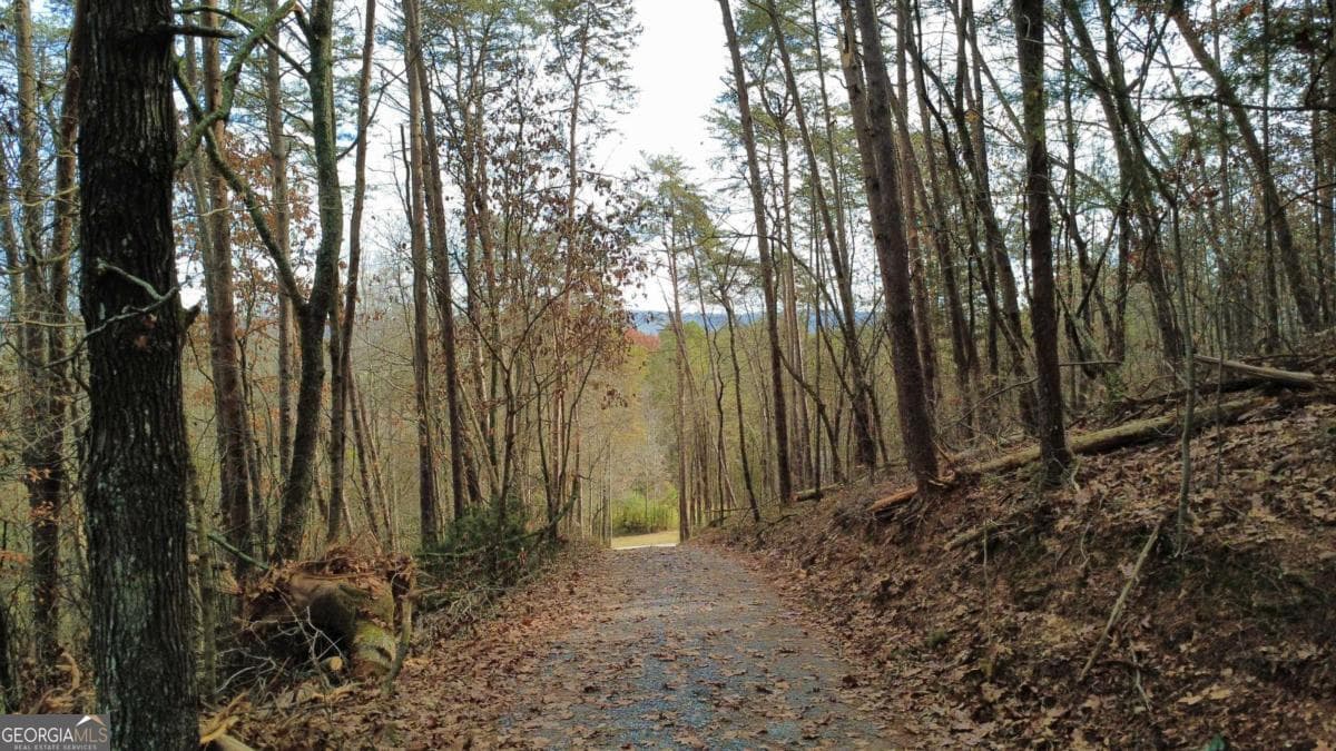 residential lot for sale at TRACT 30 Deerfield Estates, Fairmount, GA 30139 — photo 3