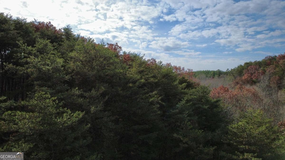 residential lot for sale at TRACT 30 Deerfield Estates, Fairmount, GA 30139 — photo 1 of 13