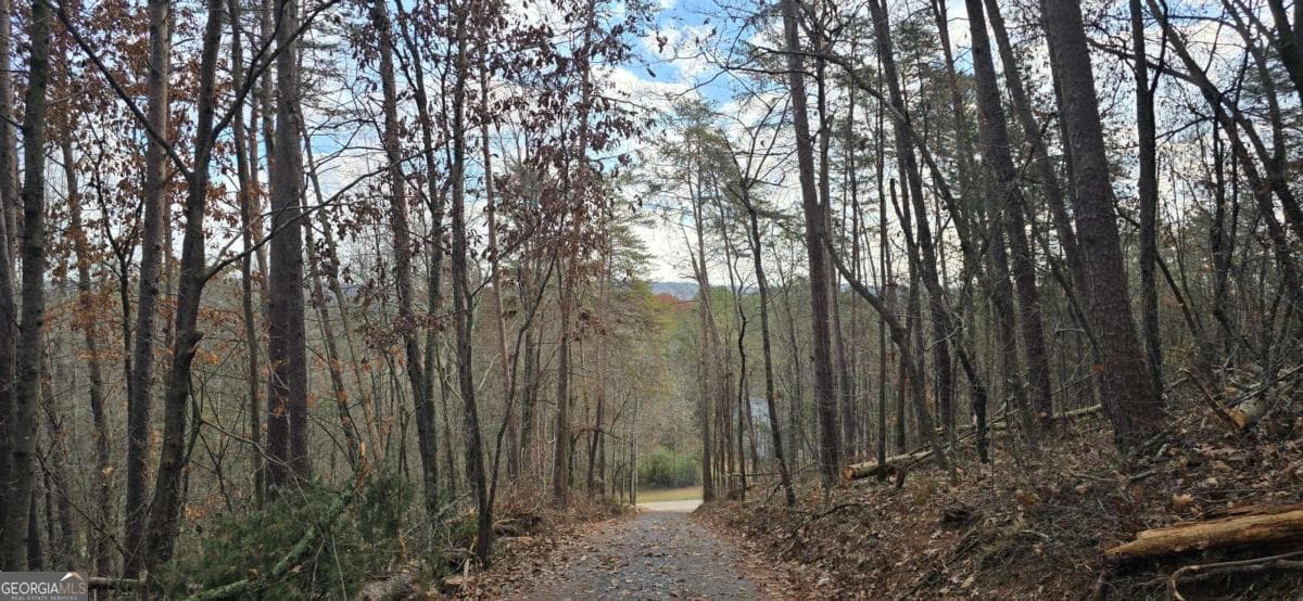 residential lot for sale at TRACT 30 Deerfield Estates, Fairmount, GA 30139 — photo 5