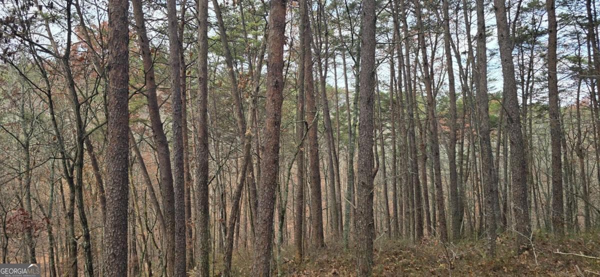 residential lot for sale at TRACT 30 Deerfield Estates, Fairmount, GA 30139 — photo 9