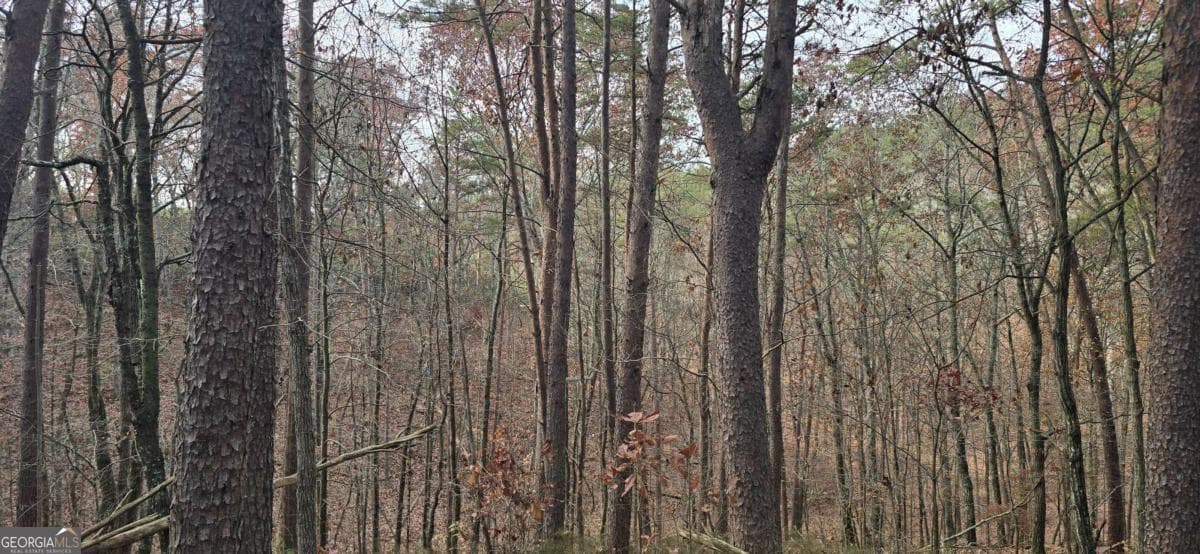 residential lot for sale at TRACT 30 Deerfield Estates, Fairmount, GA 30139 — photo 10