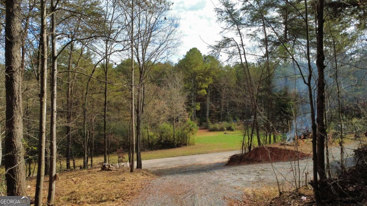 residential lot for sale at TRACT 30 Deerfield Estates, Fairmount, GA 30139 — photo 4