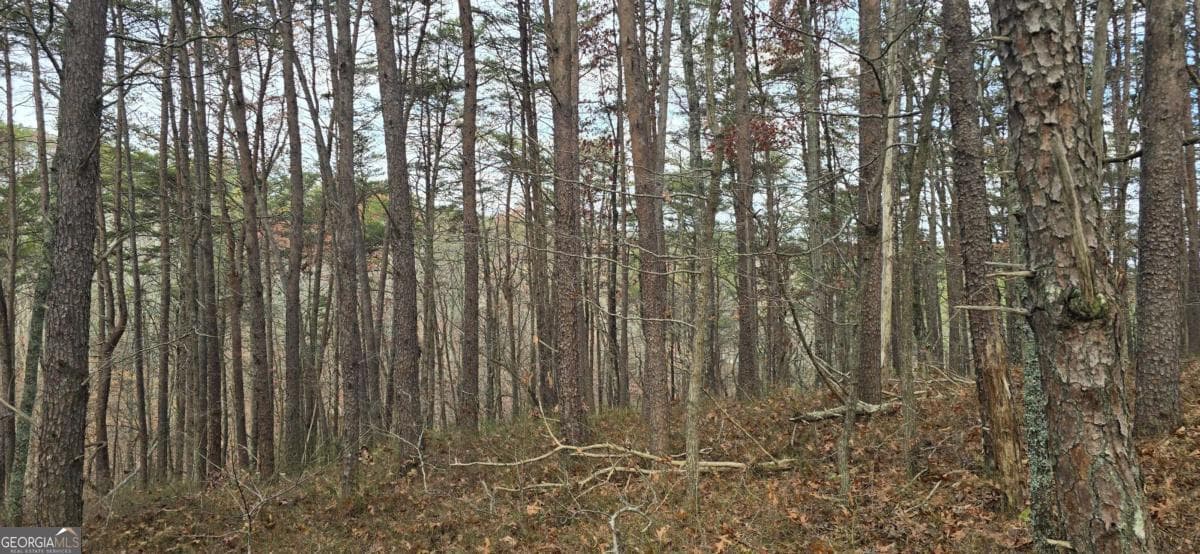 residential lot for sale at TRACT 30 Deerfield Estates, Fairmount, GA 30139 — photo 8