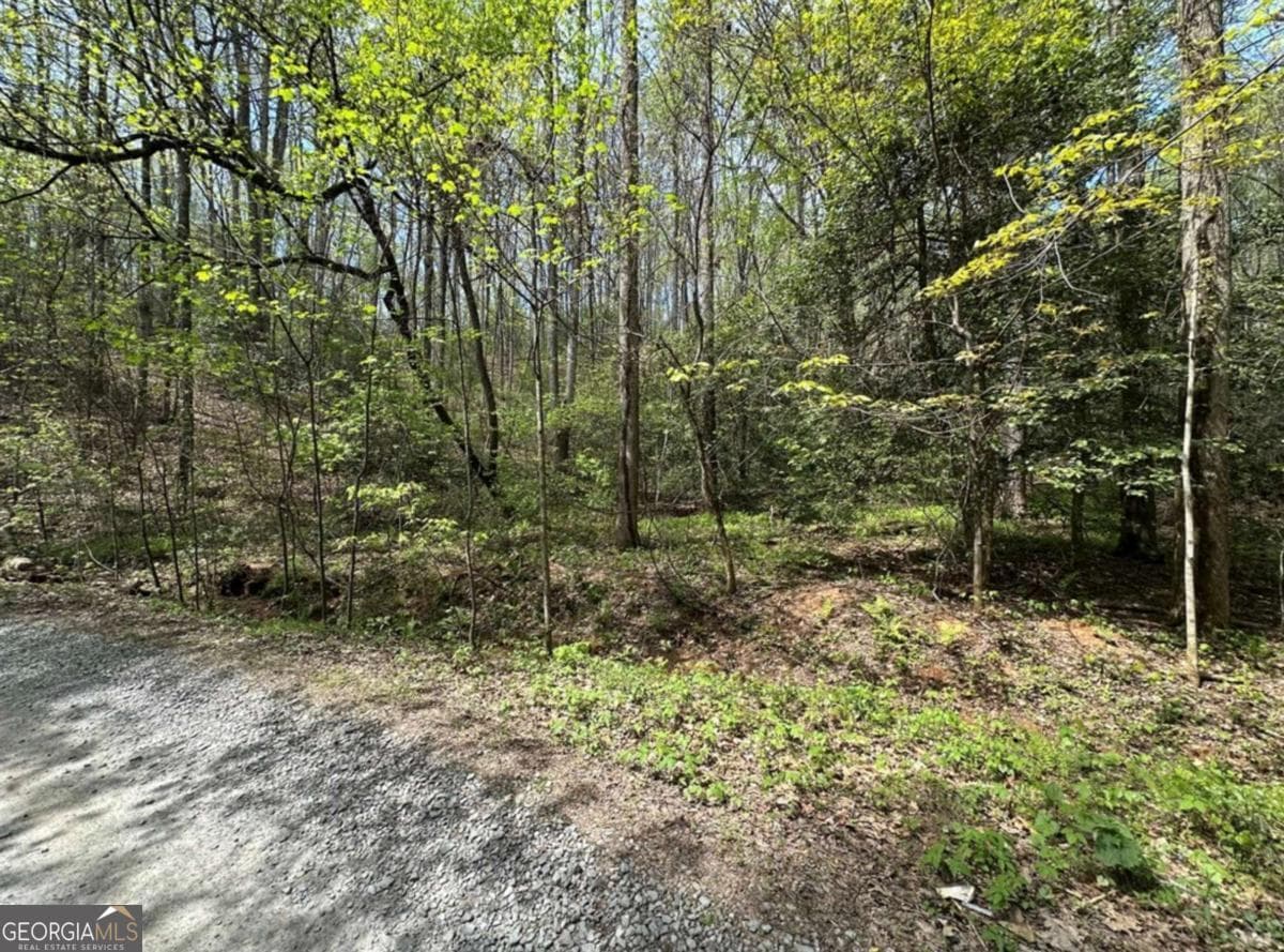 residential lot for sale at LOT 20 Big Ben Road 20, Ellijay, GA 30540 — photo 2