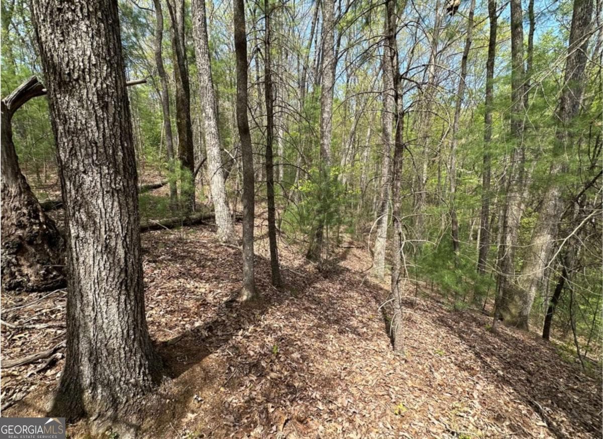 residential lot for sale at LOT 20 Big Ben Road 20, Ellijay, GA 30540 — photo 6