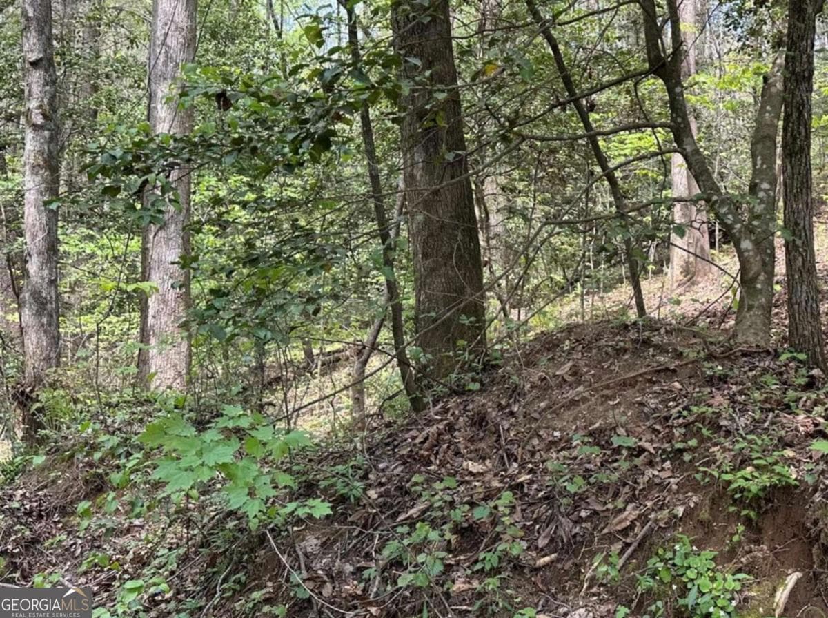 residential lot for sale at LOT 20 Big Ben Road 20, Ellijay, GA 30540 — photo 7