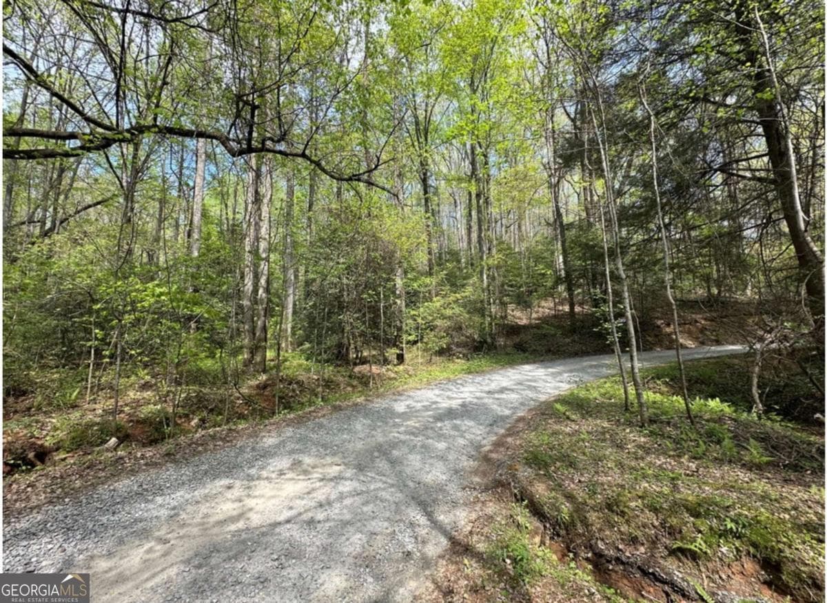 residential lot for sale at LOT 20 Big Ben Road 20, Ellijay, GA 30540 — photo 3