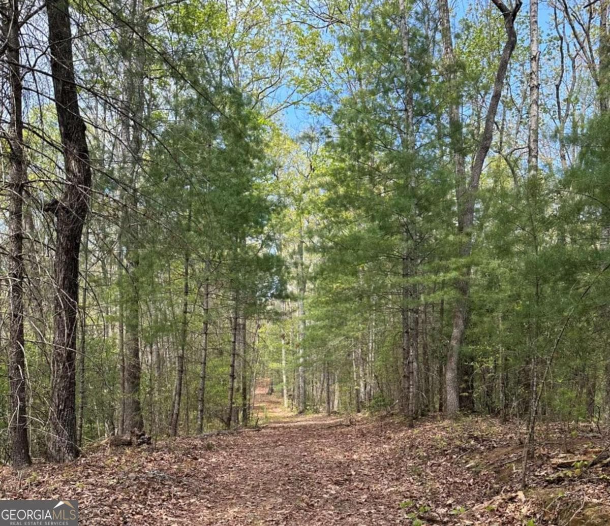 residential lot for sale at LOT 20 Big Ben Road 20, Ellijay, GA 30540 — photo 1 of 8