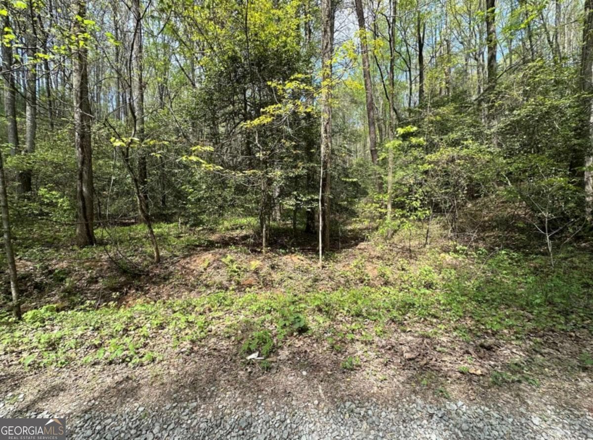 residential lot for sale at LOT 20 Big Ben Road 20, Ellijay, GA 30540 — photo 5