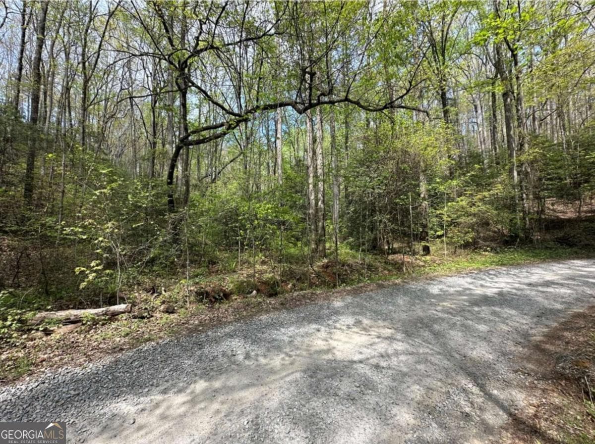 residential lot for sale at LOT 20 Big Ben Road 20, Ellijay, GA 30540 — photo 4