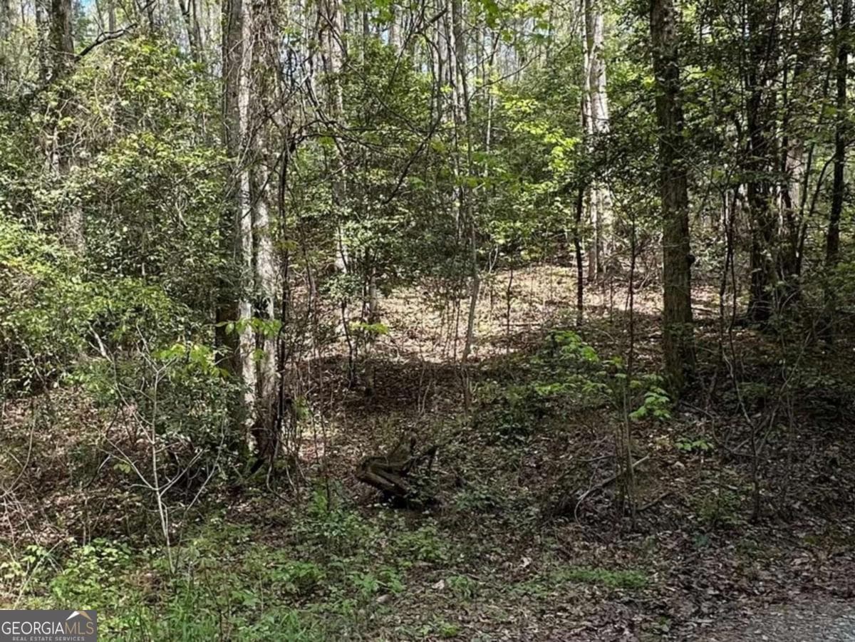residential lot for sale at LOT 20 Big Ben Road 20, Ellijay, GA 30540 — photo 8