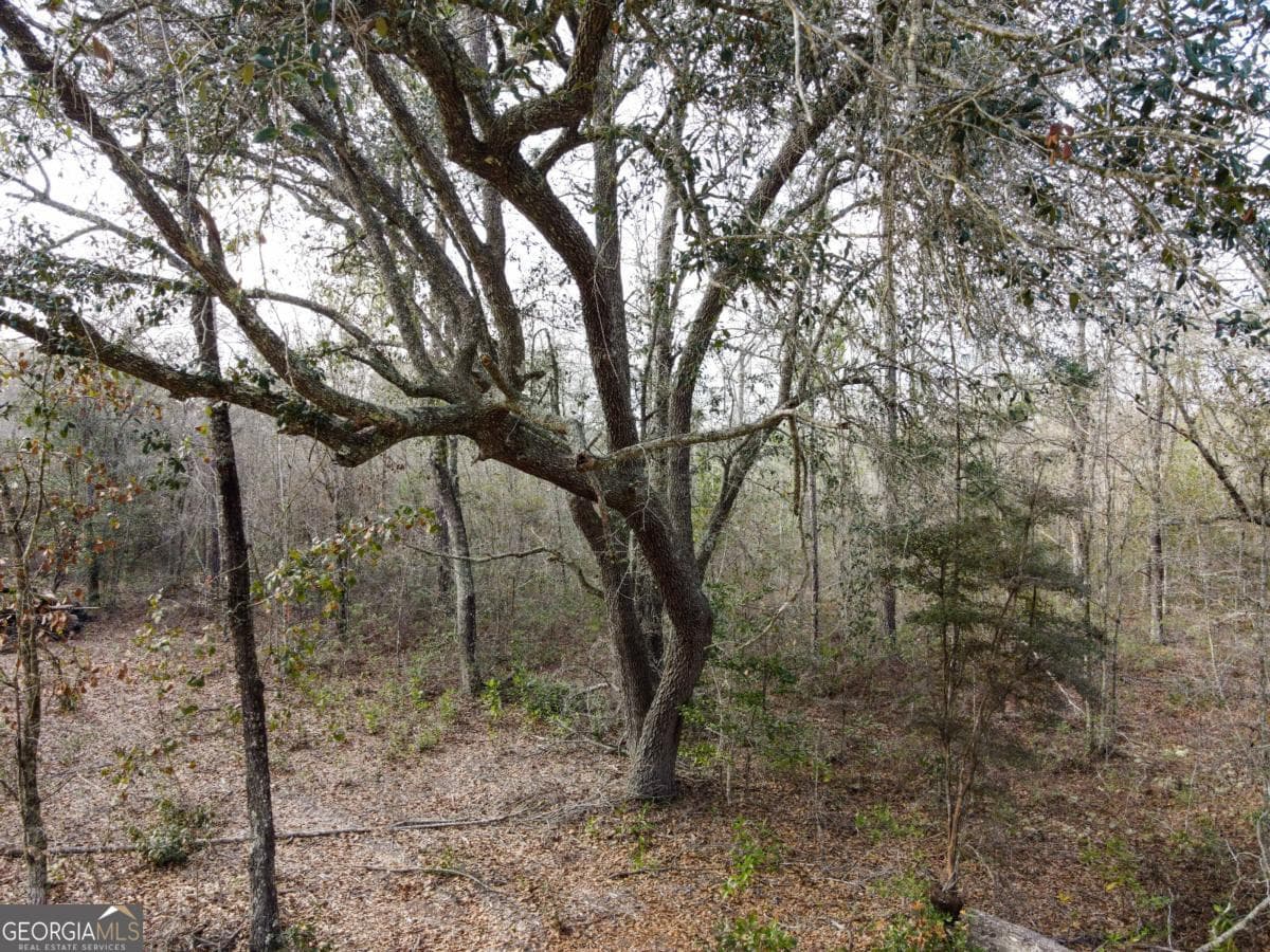 agriculture sold at 0 Floyd Road LOT 9, Pembroke, GA 31321