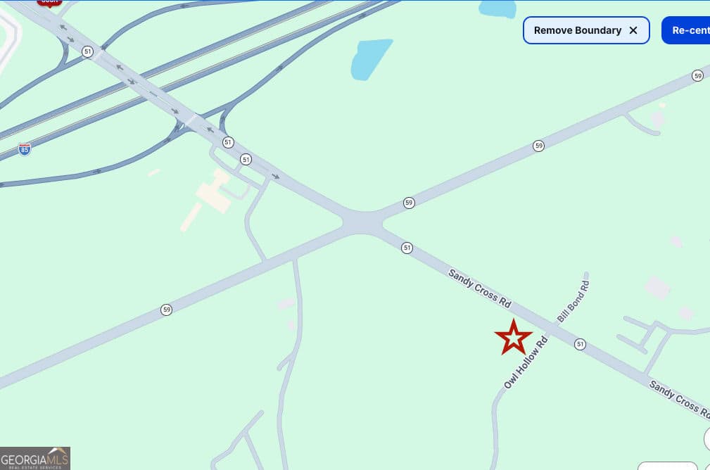 unimproved land for sale at 0 Owl Hollow Road, Carnesville, GA 30521 — photo 2