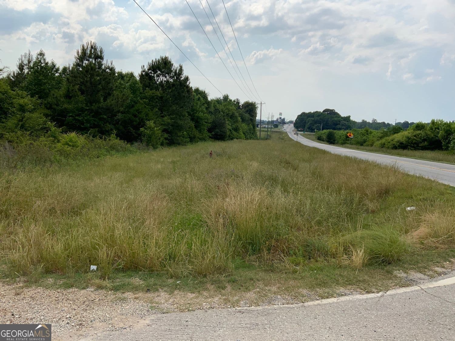 unimproved land for sale at 0 Owl Hollow Road, Carnesville, GA 30521 — photo 1 of 3
