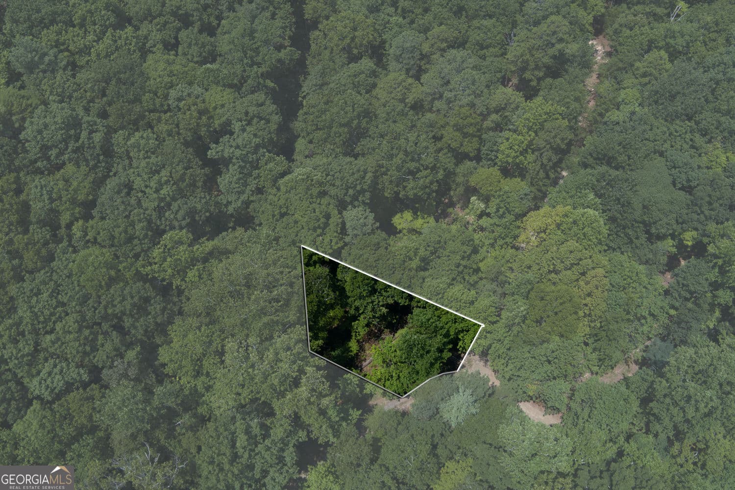 residential lot for sale at 1145 Embry Court, Ranger, GA 30734 — photo 3