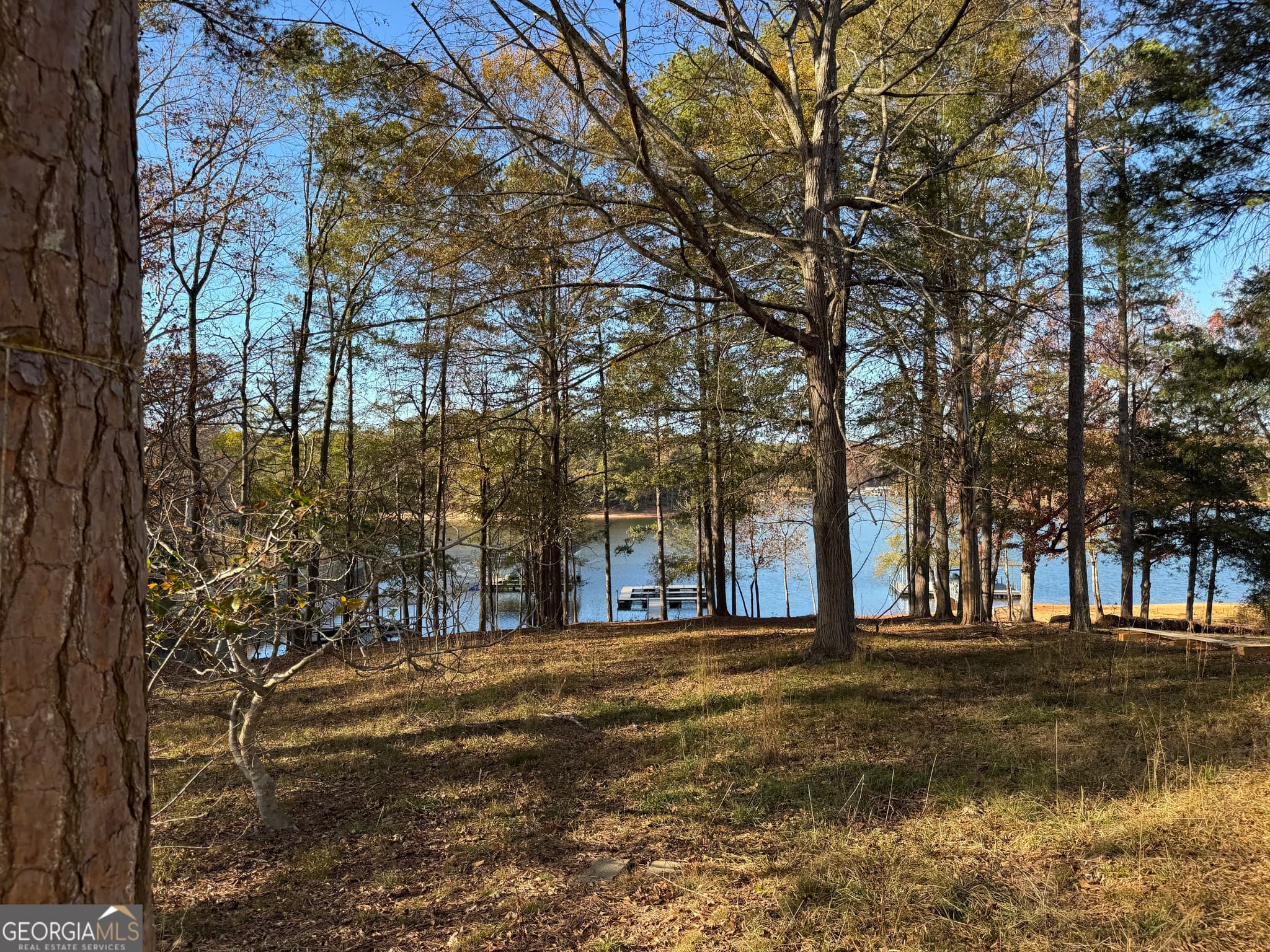 residential lot for sale at 33 Flint Road, Hartwell, GA 30643 — photo 2