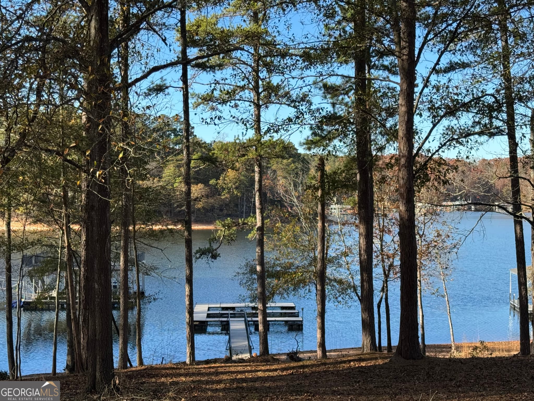residential lot for sale at 33 Flint Road, Hartwell, GA 30643 — photo 1 of 2