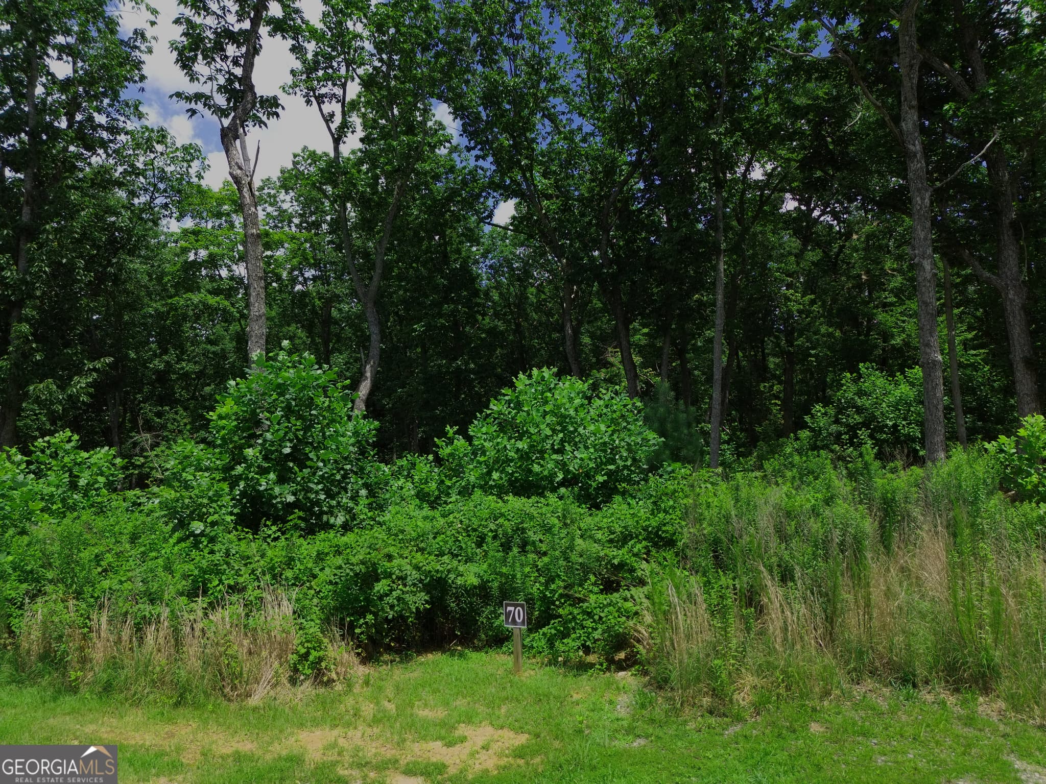 residential lot for sale at LOT 70 High Summit Drive, Talking Rock, GA 30175 — photo 2