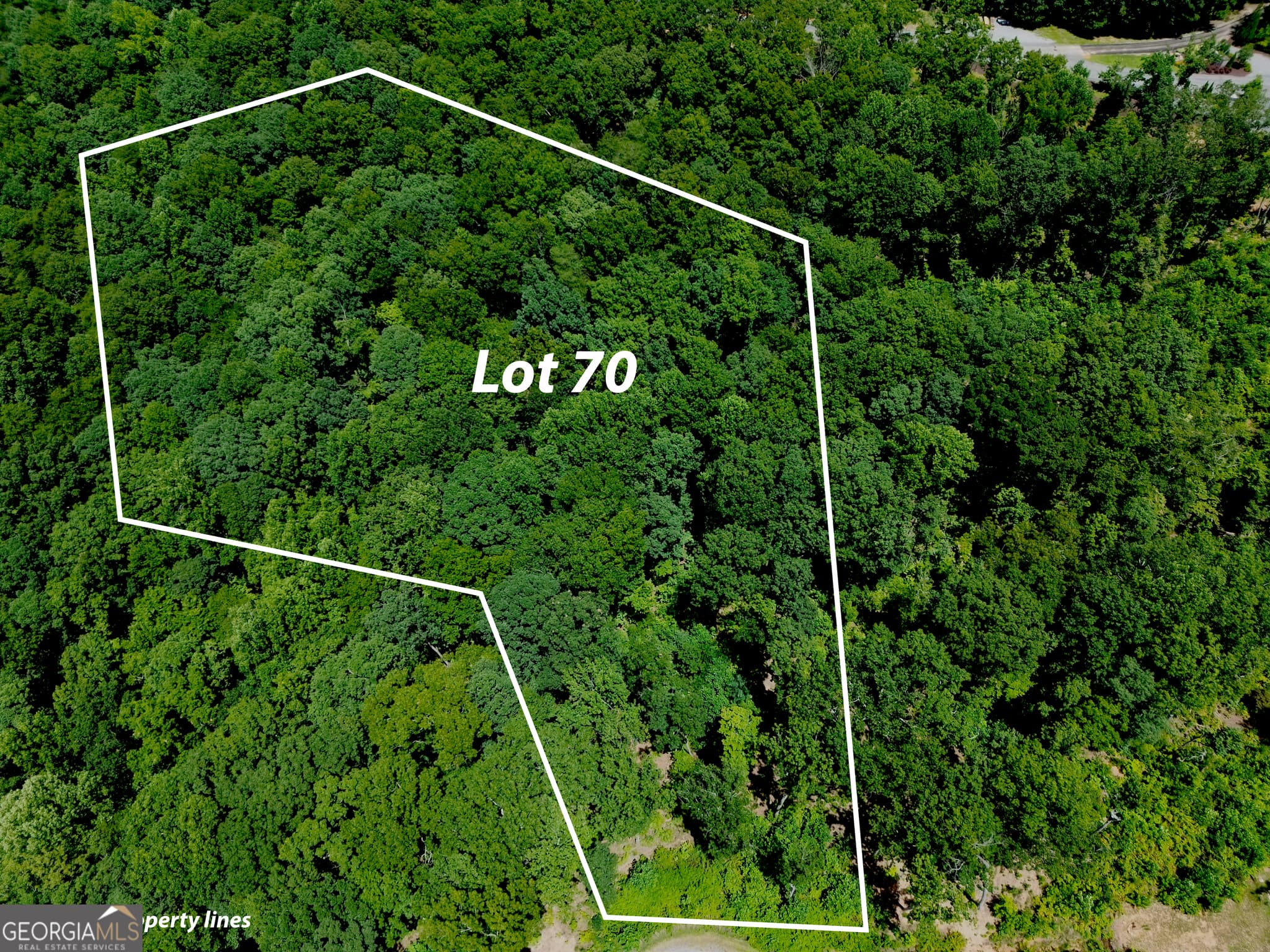 residential lot for sale at LOT 70 High Summit Drive, Talking Rock, GA 30175 — photo 6