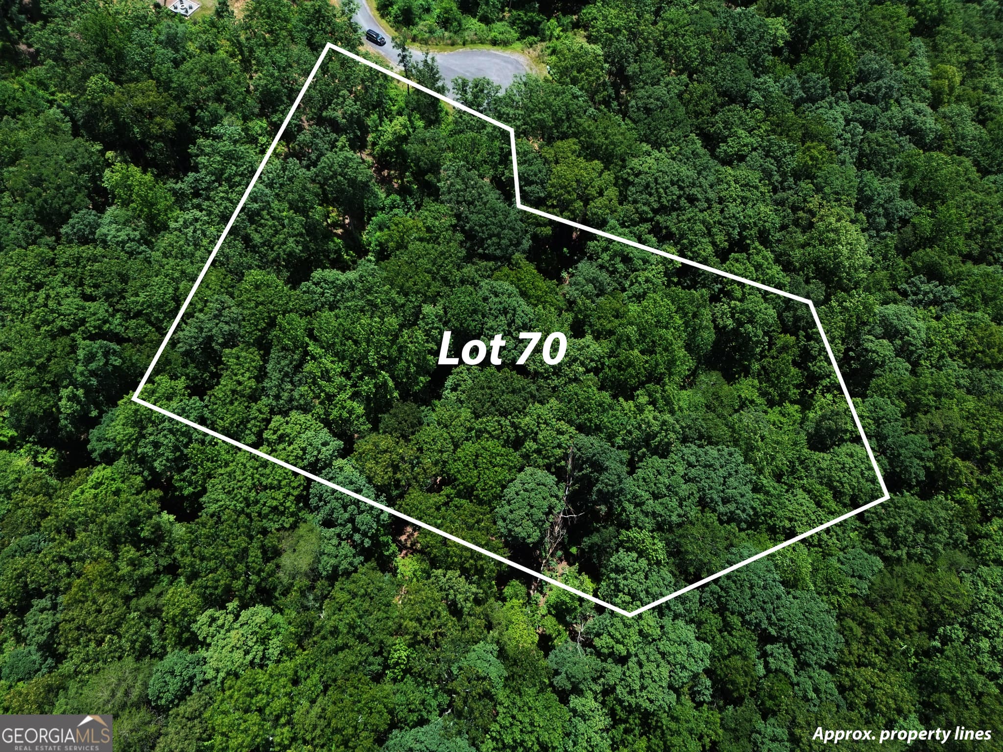 residential lot for sale at LOT 70 High Summit Drive, Talking Rock, GA 30175 — photo 5