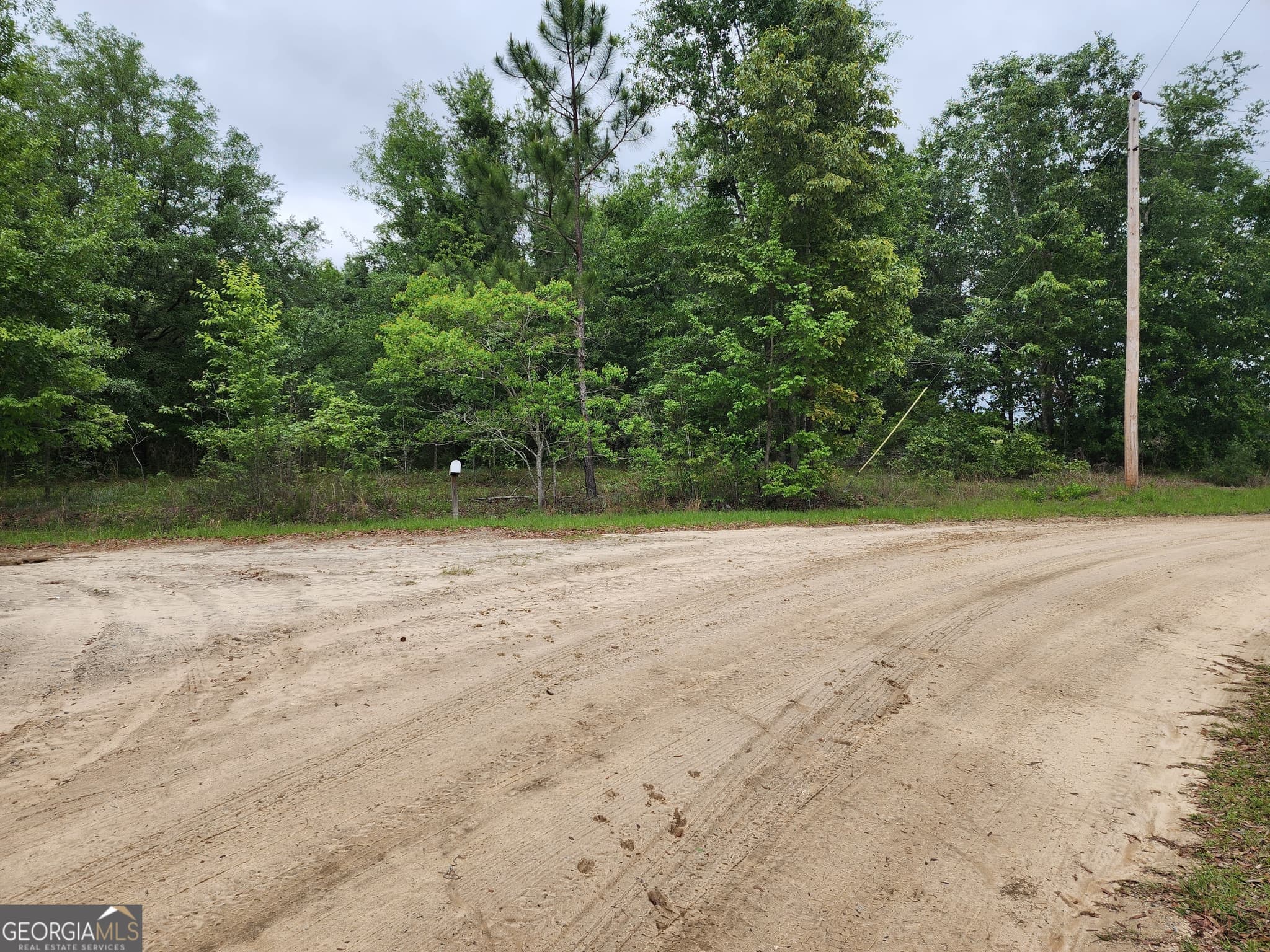 residential lot for sale at 0 SOUTHWEST Drive, Donalsonville, GA 39845 — photo 3