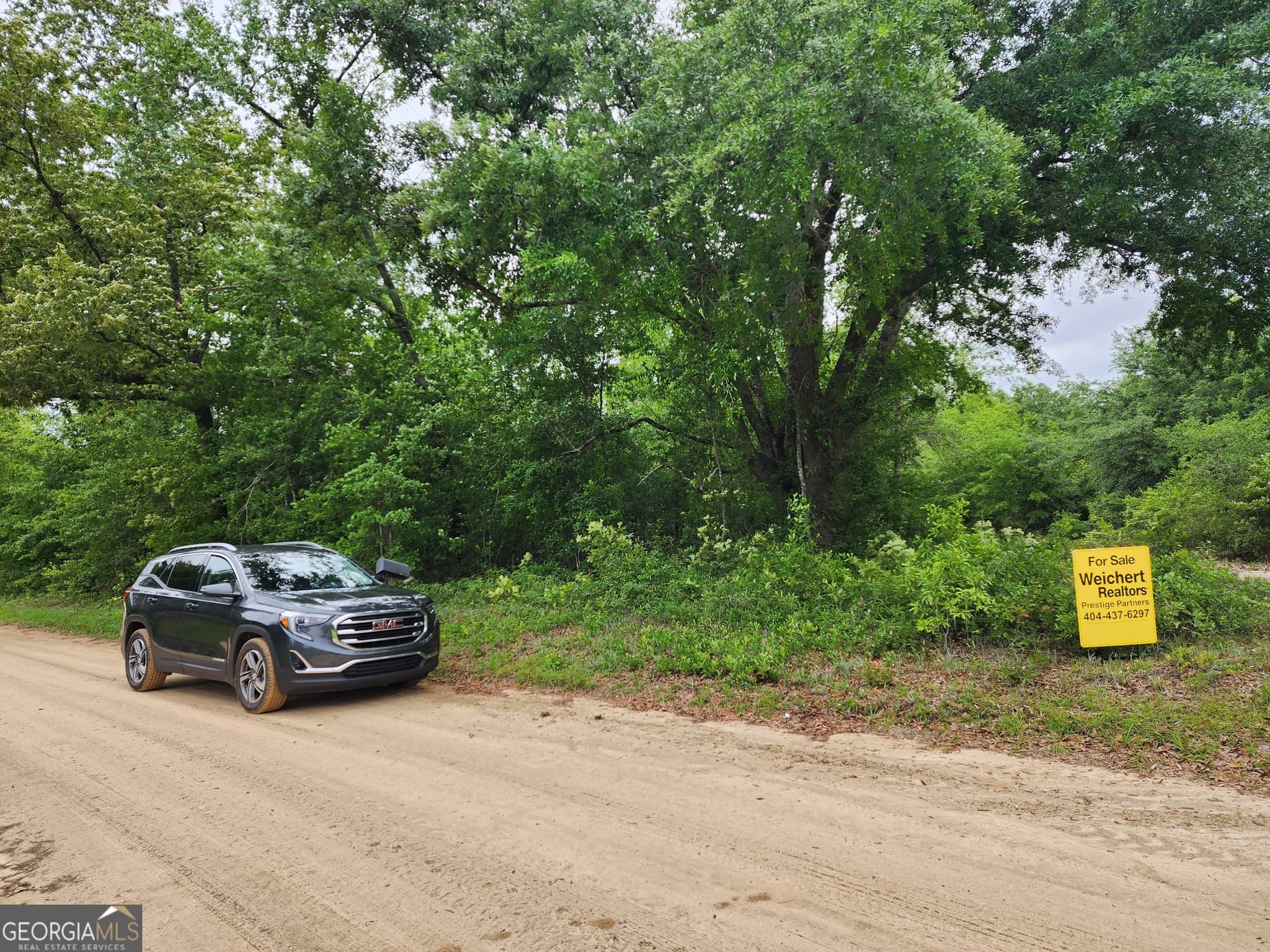 residential lot for sale at 0 SOUTHWEST Drive, Donalsonville, GA 39845 — photo 1 of 3