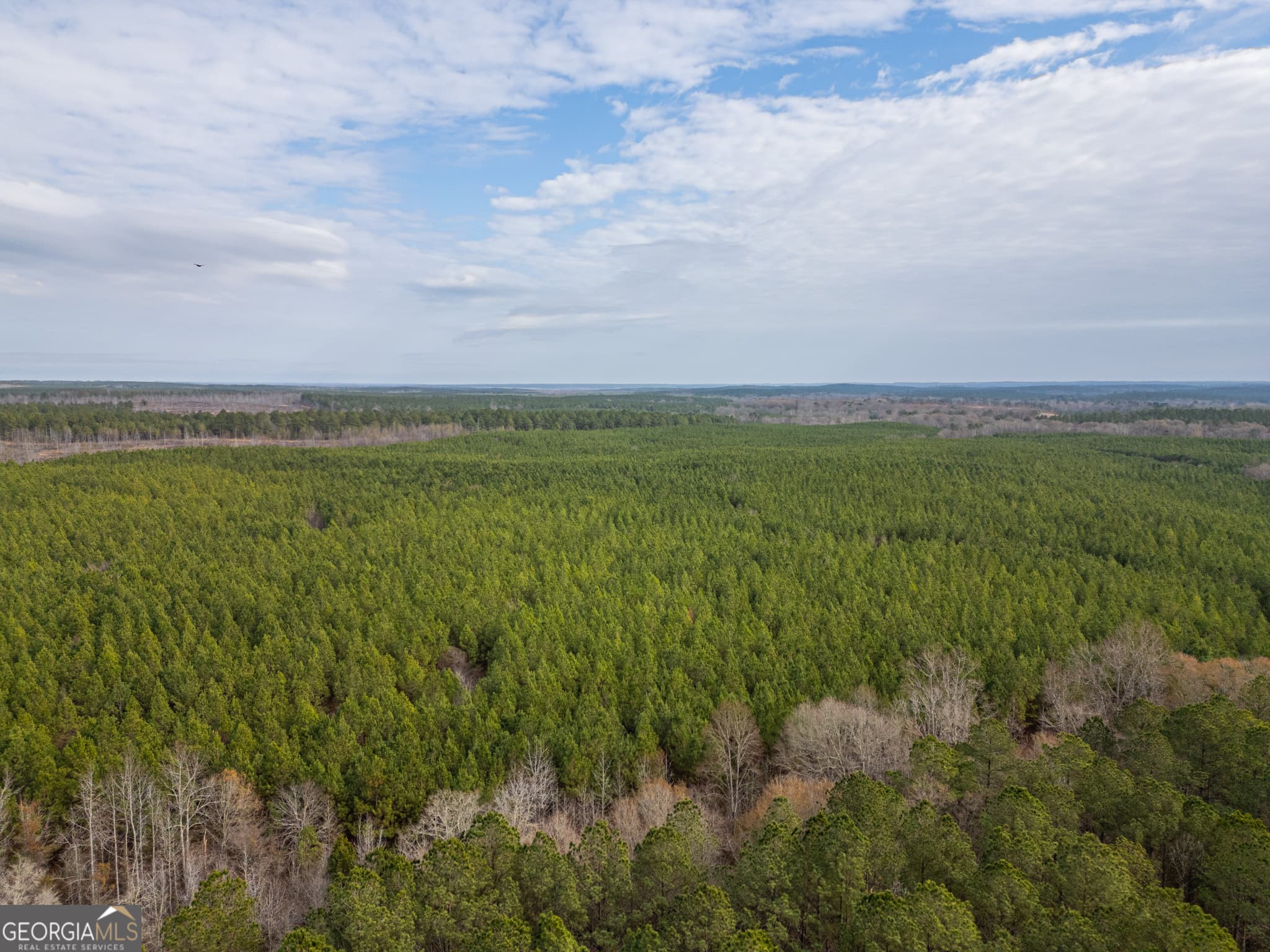 agriculture for sale at 2 Smith Rocky Branch Road, Carlton, GA 30627 — photo 2
