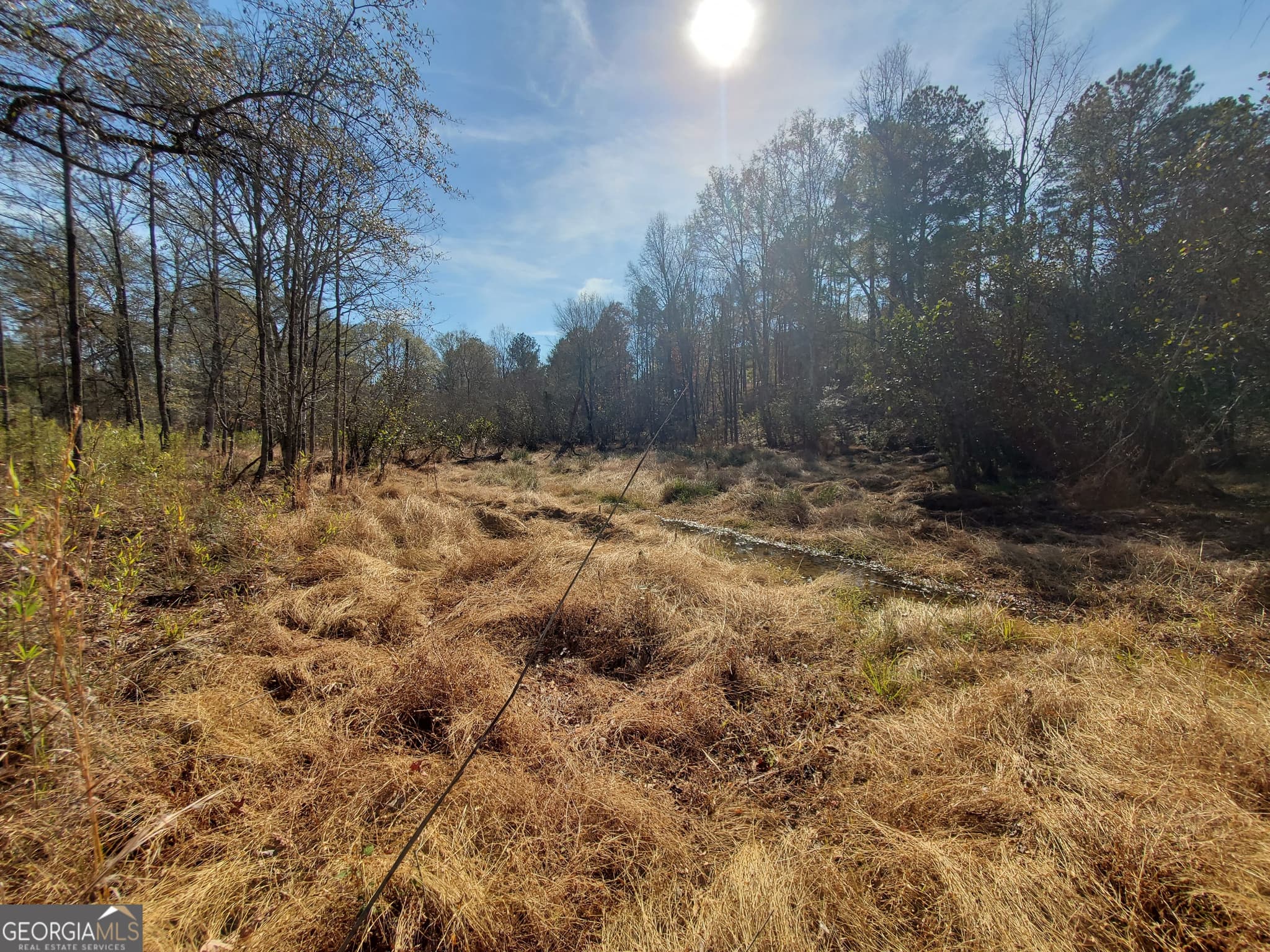 agriculture for sale at 2 Smith Rocky Branch Road, Carlton, GA 30627 — photo 6