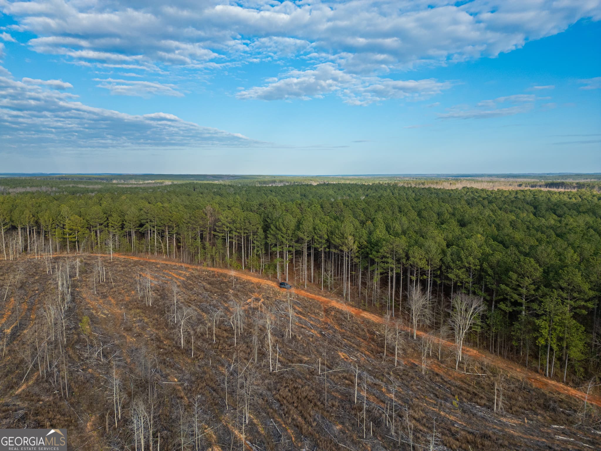 agriculture for sale at 2 Smith Rocky Branch Road, Carlton, GA 30627 — photo 3