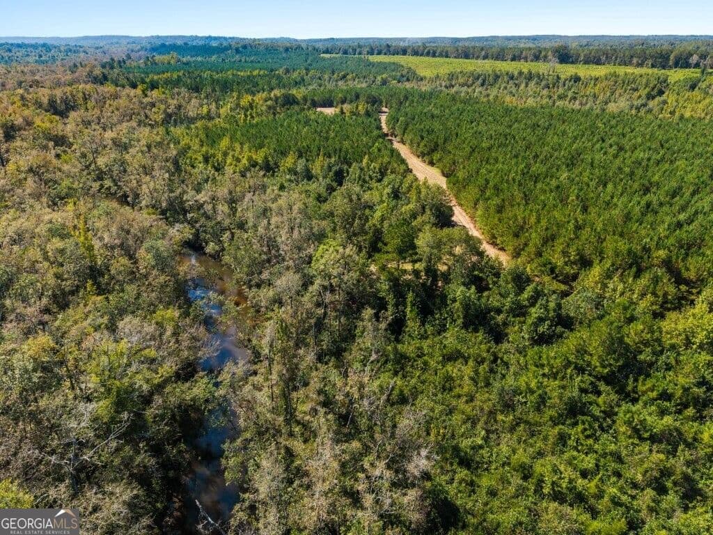 unimproved land for sale at 0 W State Route 90 Road, Ideal, GA 31041 — photo 7