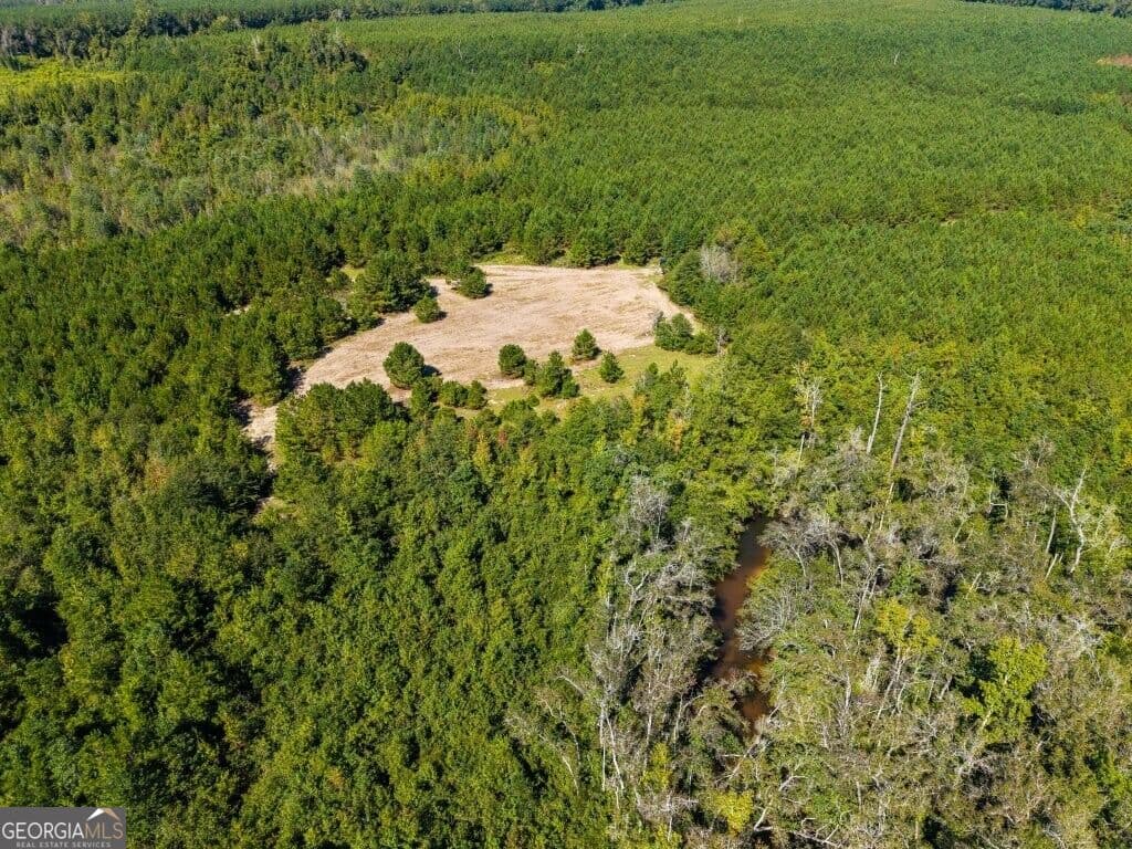 unimproved land for sale at 0 W State Route 90 Road, Ideal, GA 31041 — photo 3