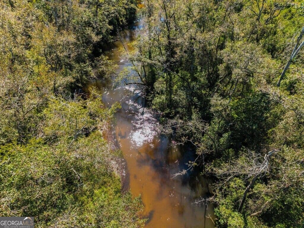 unimproved land for sale at 0 W State Route 90 Road, Ideal, GA 31041 — photo 5