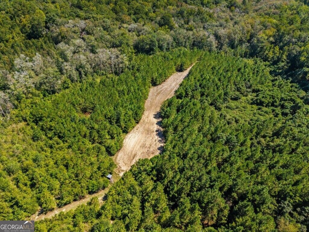 unimproved land for sale at 0 W State Route 90 Road, Ideal, GA 31041 — photo 9