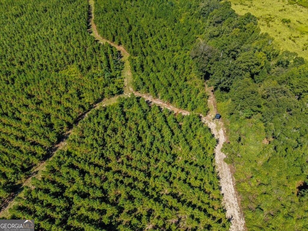 unimproved land for sale at 0 W State Route 90 Road, Ideal, GA 31041 — photo 10