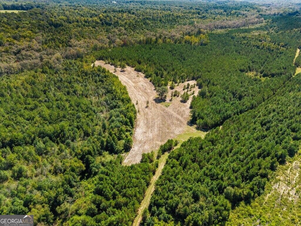 unimproved land for sale at 0 W State Route 90 Road, Ideal, GA 31041 — photo 4