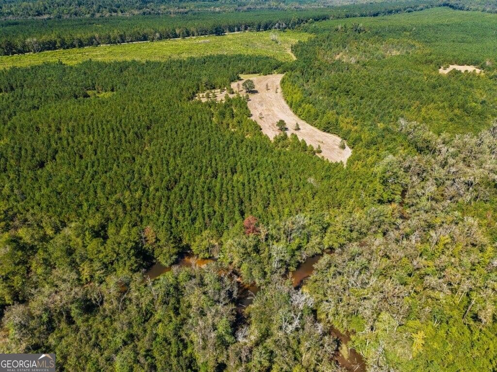 unimproved land for sale at 0 W State Route 90 Road, Ideal, GA 31041 — photo 8
