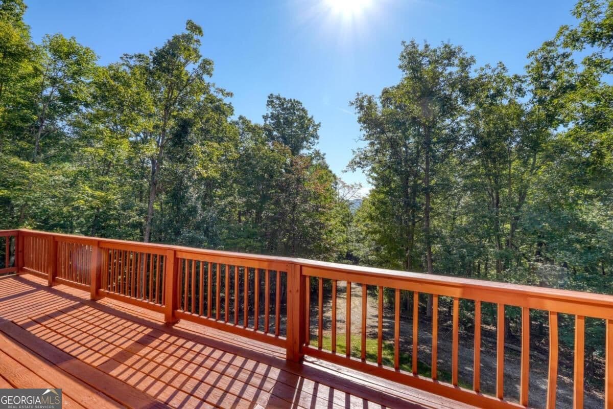 3 bedroom, 2.5 bathroom, 1,328 sq ft cabin,single family residence for sale at 54 Sweet Dotty'S Lane TR2B, Blairsville, GA 30512 — photo 9