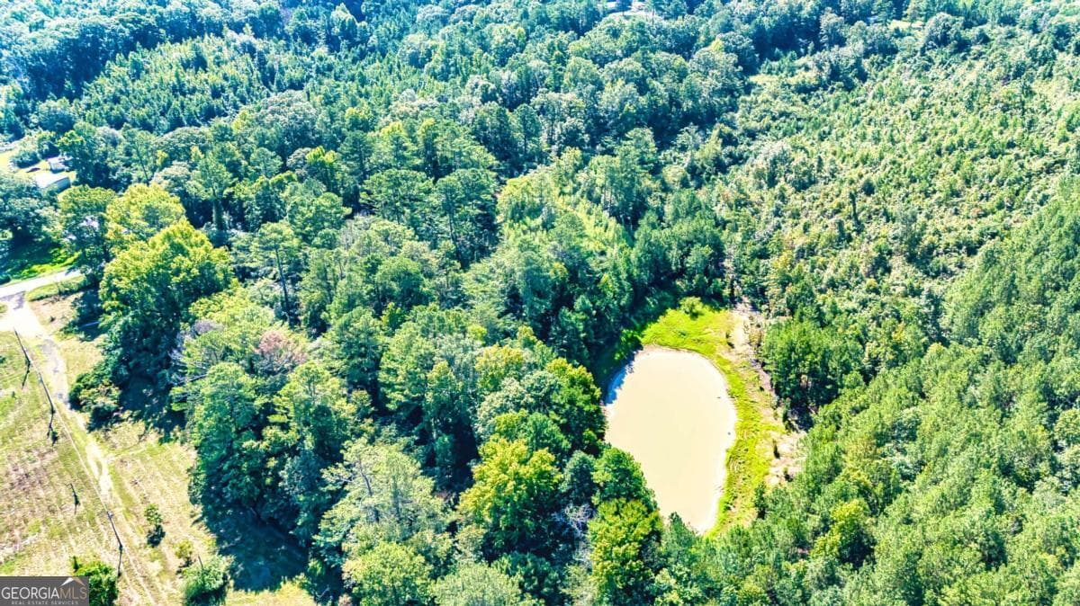 agriculture for sale at 830 Mountain Veiw Road, Talladega, AL 35160 — photo 7