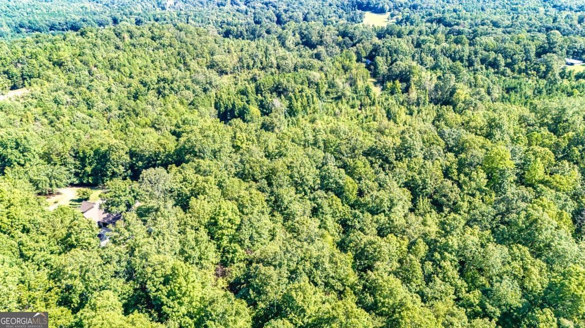 agriculture for sale at 830 Mountain Veiw Road, Talladega, AL 35160 — photo 4