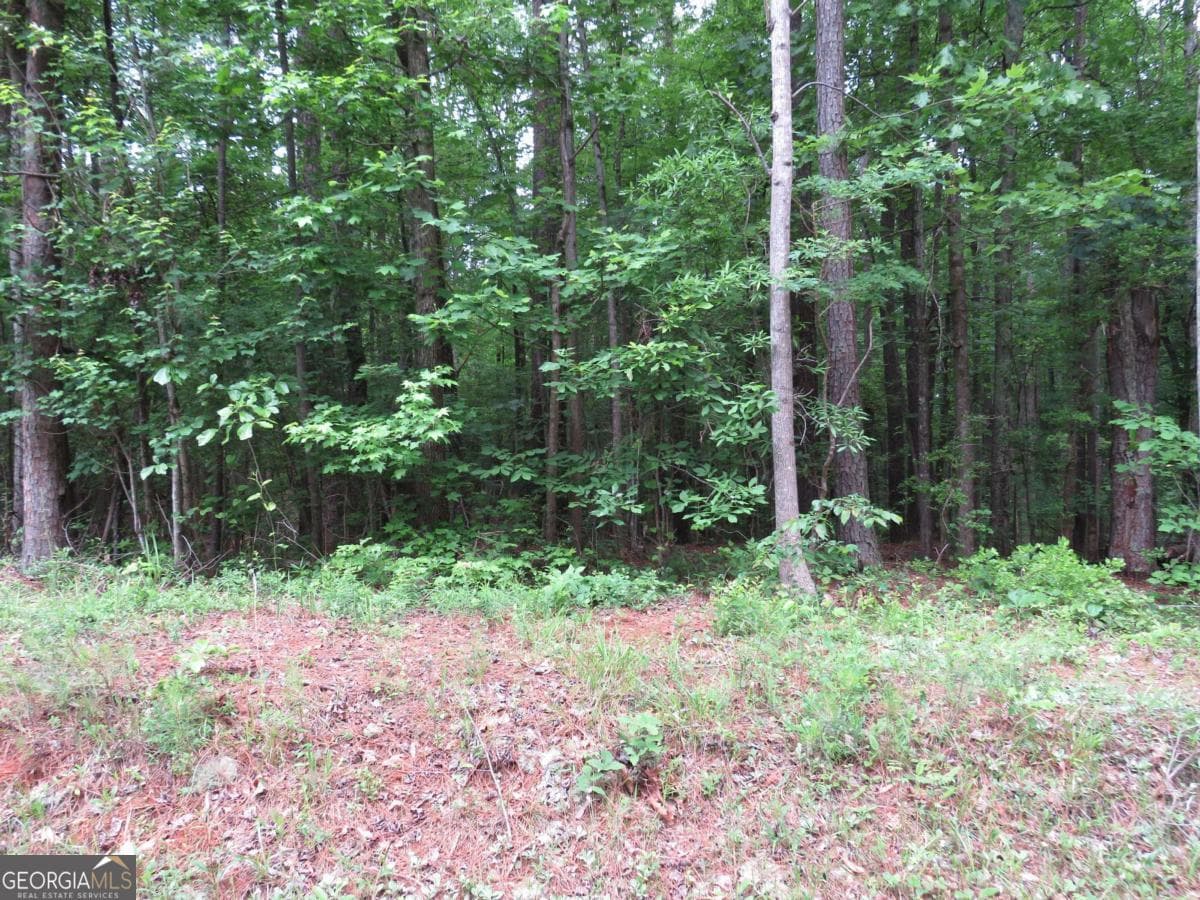 residential lot for sale at 0 Doke Cohran Road, Dallas, GA 30157 — photo 2