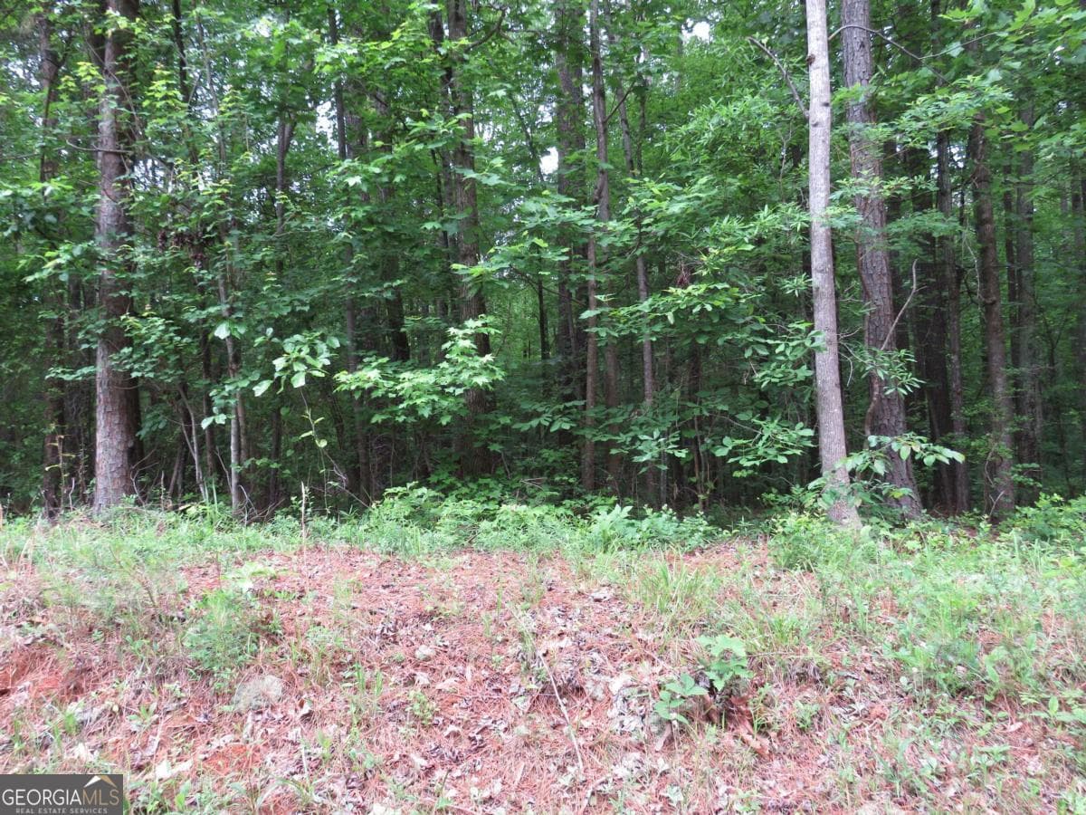 residential lot for sale at 0 Doke Cohran Road, Dallas, GA 30157 — photo 6