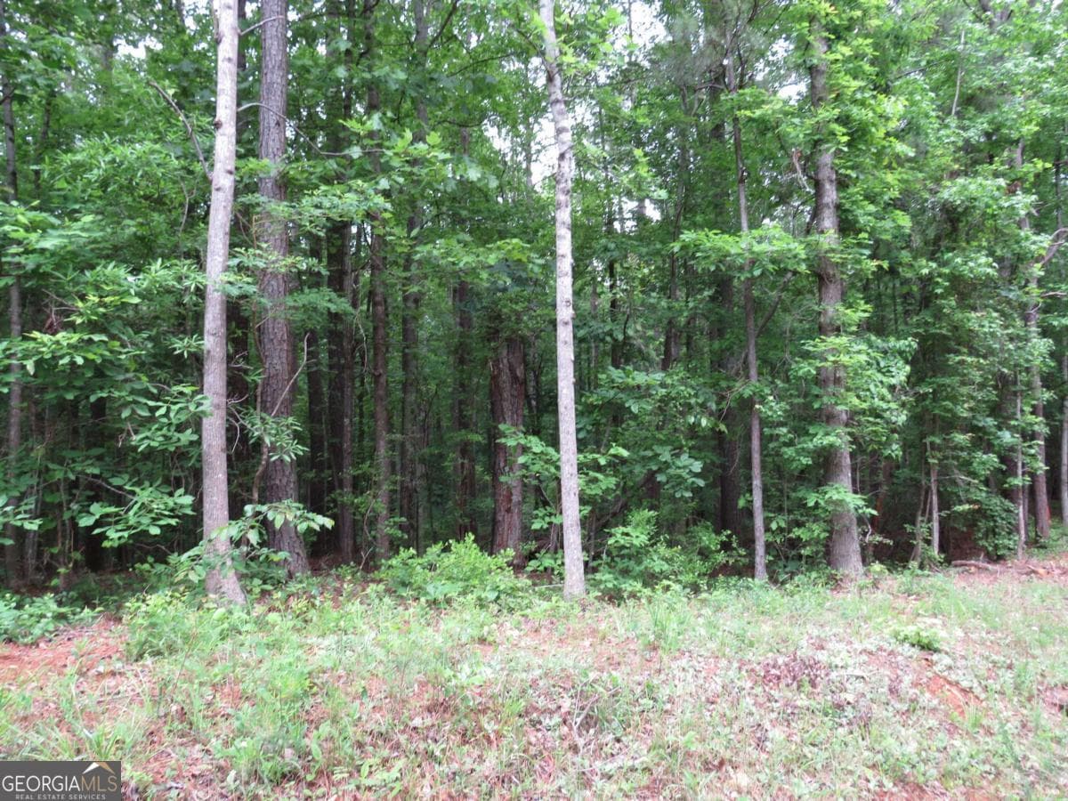 residential lot for sale at 0 Doke Cohran Road, Dallas, GA 30157 — photo 7