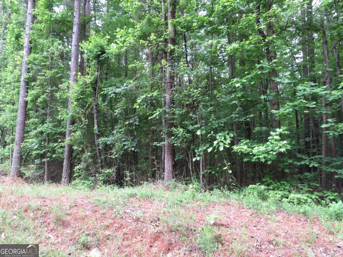 residential lot for sale at 0 Doke Cohran Road, Dallas, GA 30157 — photo 3