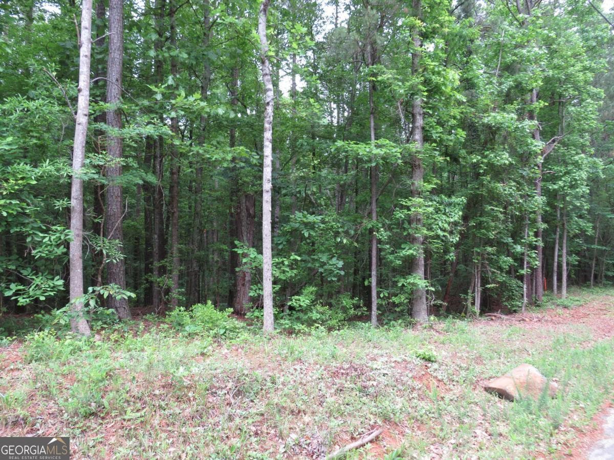 residential lot for sale at 0 Doke Cohran Road, Dallas, GA 30157 — photo 1 of 11