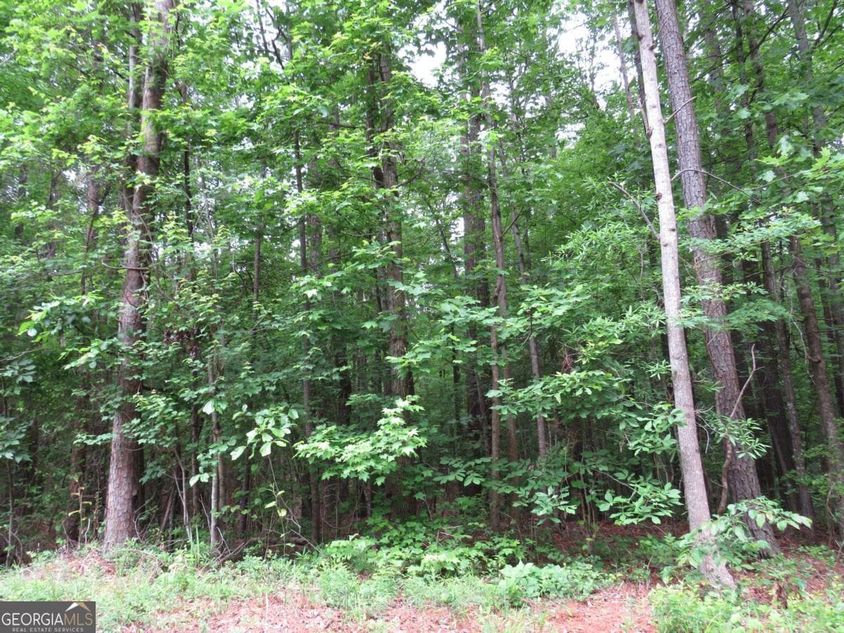 residential lot for sale at 0 Doke Cohran Road, Dallas, GA 30157 — photo 5